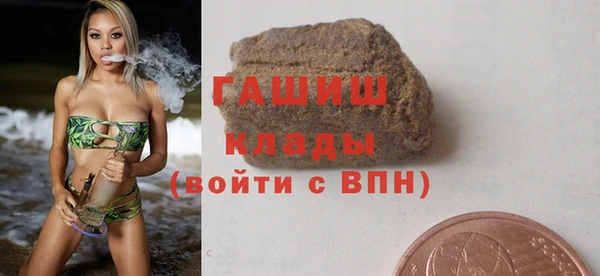 шишки Надым