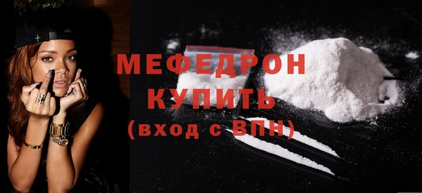шишки Надым