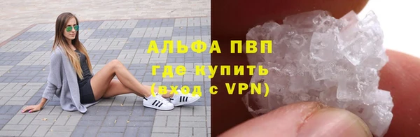 шишки Надым