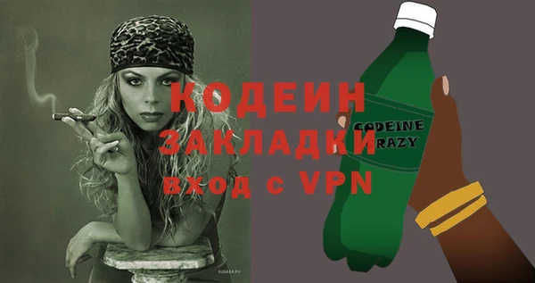 шишки Надым