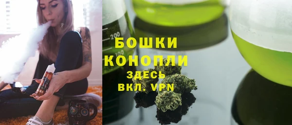 шишки Надым