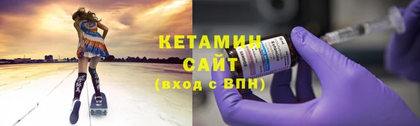 шишки Надым