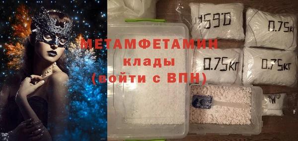 шишки Надым