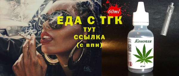 шишки Надым