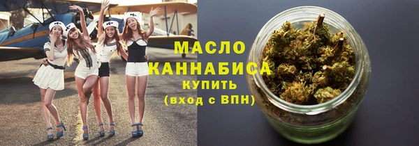 шишки Надым