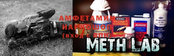 шишки Надым