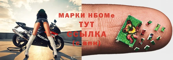 шишки Надым