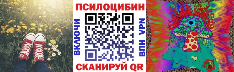 Купить где  Урень  Галлюциногенные грибы Psilocybe 